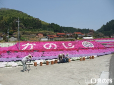 �ō��𗬂̗�