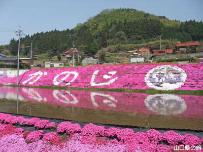 �ō��𗬂̗�