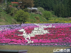 �ō��𗬂̗�