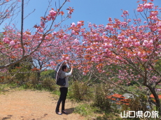 ���d���R�W�]��