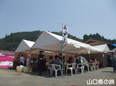 �ō��𗬂̗�