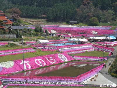 �ō��𗬂̗�