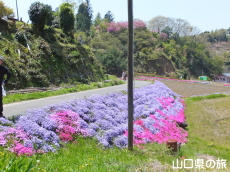 �ō��𗬂̗�