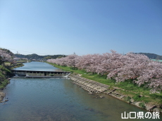 �c�z�{��̍�����