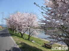 �c�z�{��̍�����