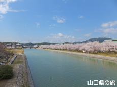 �c�z�{��̍�����