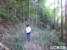 富永有隣の墓へ続く細道