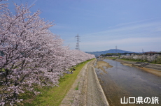 �c�z�{��͐�����̍�