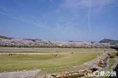 �c�z�{��͐�����̍�