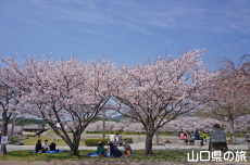 �c�z�{��͐�����̎}����