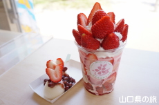 ������DARAKE