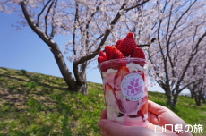 ������DARAKE