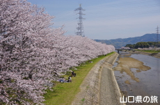 �c�z�{��͐�����̍�����