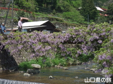 ���̂ӂ���2012