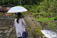 �J�̈��̓���