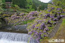 ���̓���2018