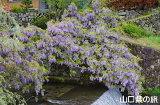 ���̓���2018