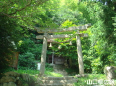 �����_��