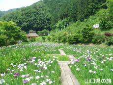 �d���̋��̉ԏҊ���