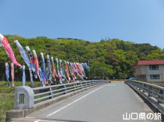 ���n��̌�̂ڂ�