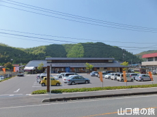 ���n�X���n����