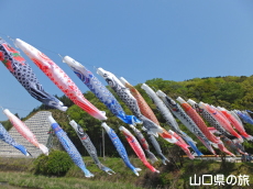 ���n��̌�̂ڂ�