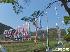 ���n��̌�̂ڂ�