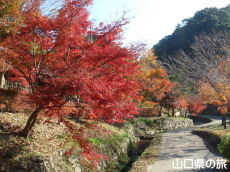 �d���̋��̍g�t