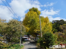 �����Ђ̑�C�`���E