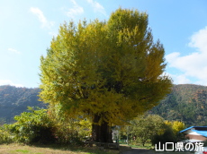 �����Ђ̑�C�`���E