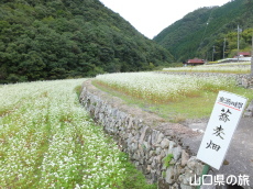 �d���̋�������