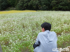 �������𒭂߂鉴