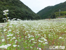 �d���̋�������