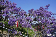 �����i�����̑員�I