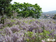 �����i�����̑員�I