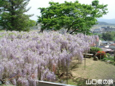 �����i�����̑員�I