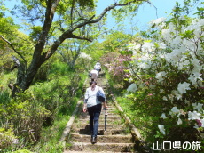 �����i�����̑員�I