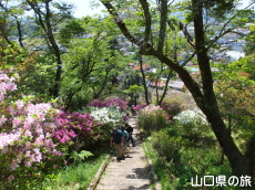 �����i�����̑員�I