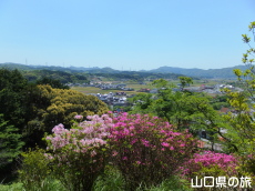 �����i�����̑員�I