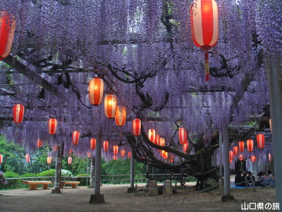 �����i�����̑員�I