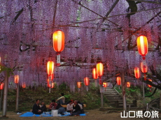 �����i�����̑員�I���C�g�A�b�v