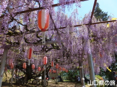 �����i�����̑員�I