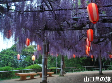 �����i�����̑員�I���C�g�A�b�v