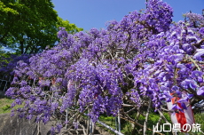 �����i�����̑員�I