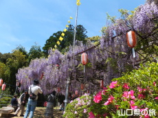 �����i�����̑員�I