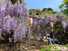 �����i�����̑員�I