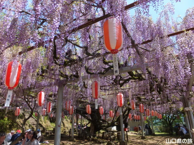 �����i�����̑員�I