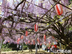 �����i�����̑員�I