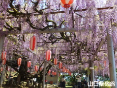 �����i�����̑員�I