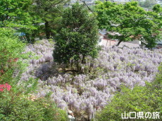 �����i�����̑員�I